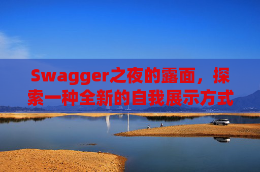 Swagger之夜的露面,探索一种全新的自我展示方式